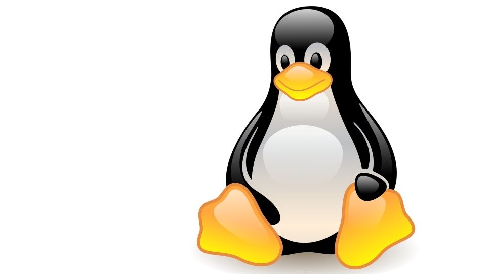 A tiny live-boot Linux installation is back from the dead — sleeping giant awakens for a new lease of life