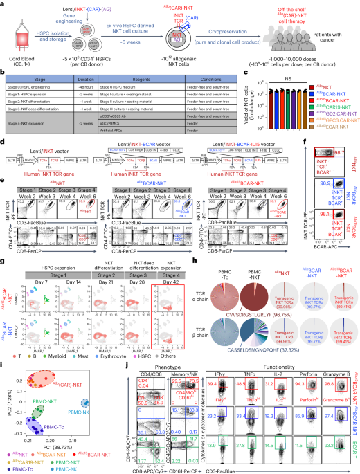 Generation of allogeneic CAR-NKT cells from hematopoietic stem and progenitor cells using a clinically guided culture method