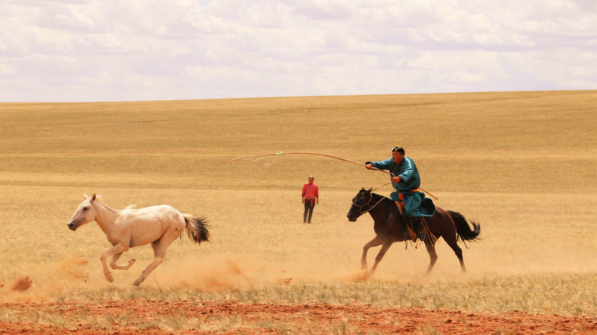 Humans didn’t domesticate horses until 4,200 years ago — a millennium later than thought