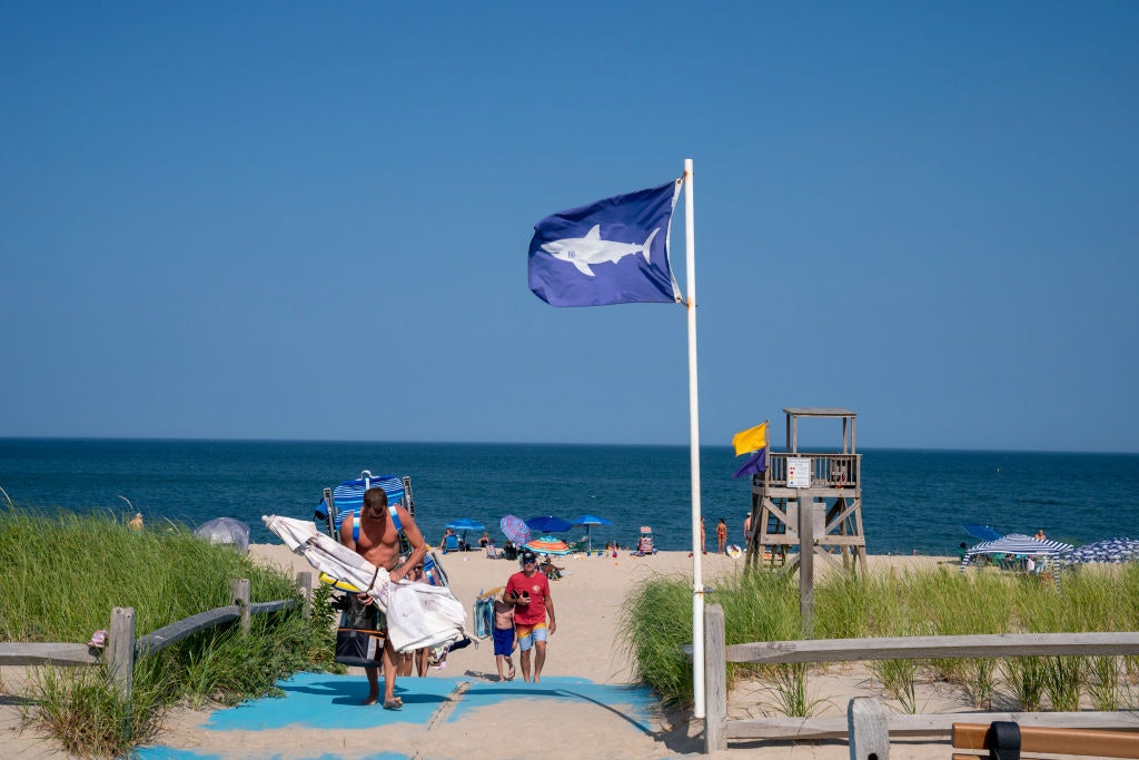 We Asked Several Shark Attack Experts To Share Their Summer Beach Safety Tips