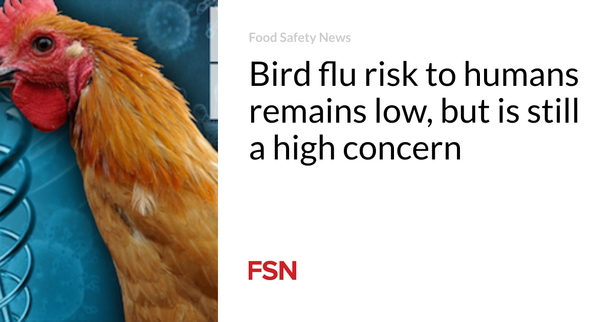 Bird flu risk to humans remains low, but is still a high concern