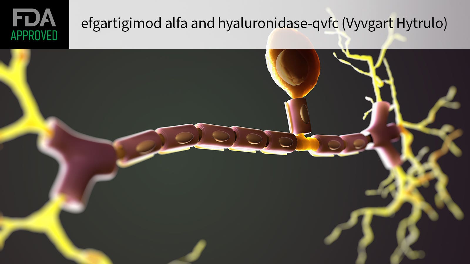 New Treatment Approved for Chronic Inflammatory Demyelinating Polyneuropathy