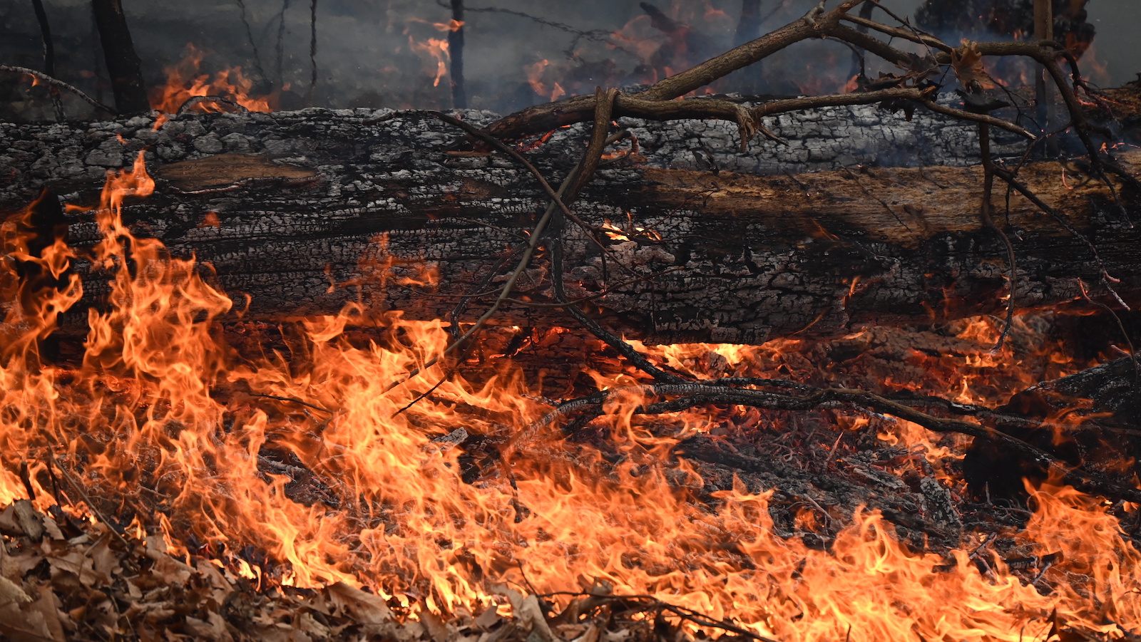 ‘Praying for rain’: How New York farmers are dealing with drought — and unexpected brush fires