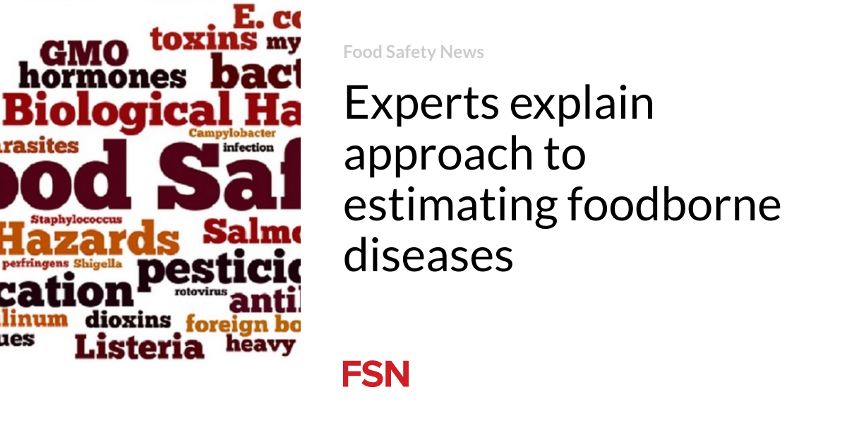 Experts explain approach to estimating foodborne diseases