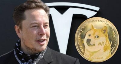 Elon Musk dodges $258 billion Dogecoin lawsuit as investors drop appeal